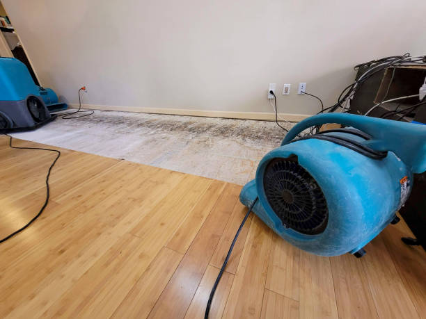 Professional Water Damage Repair technician working in Franklin, MA